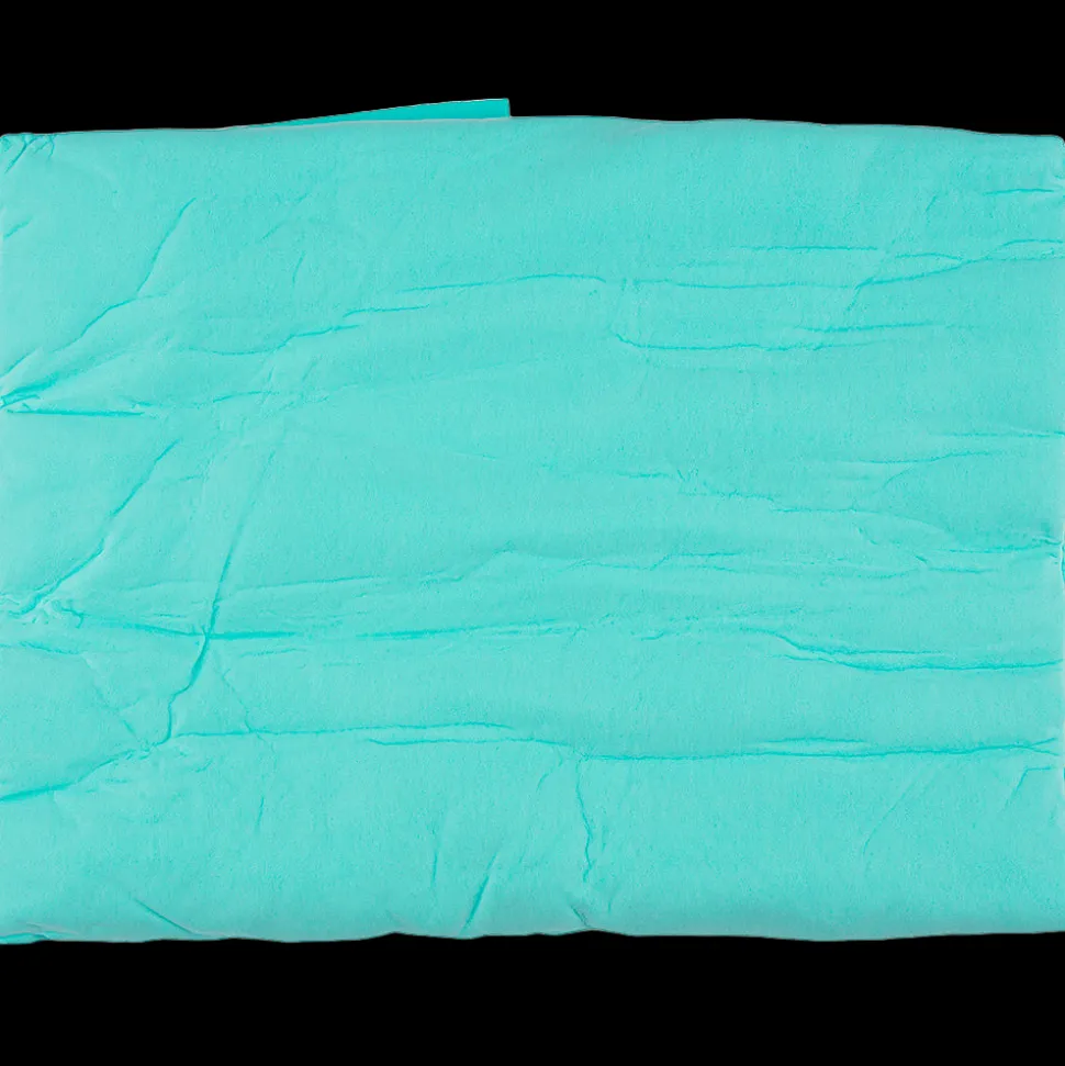 Absorption Towel Light Blue by Dog Fashion Spa