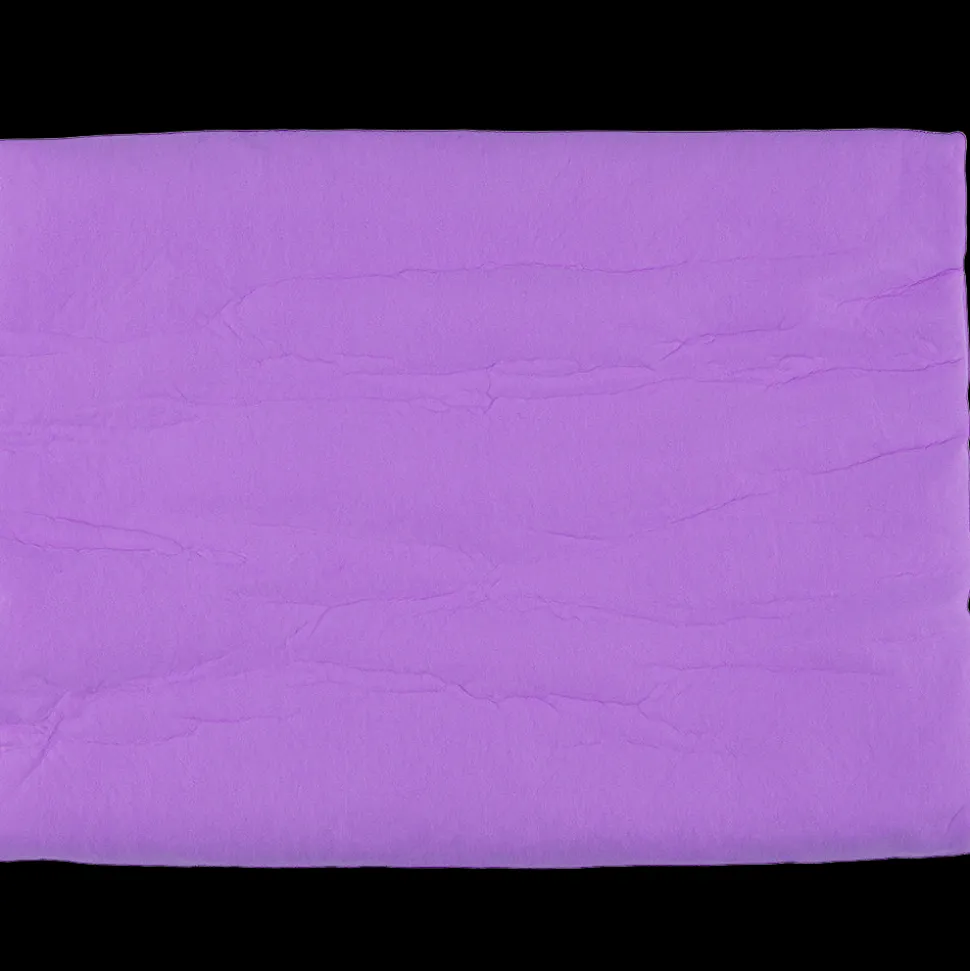 Absorption Towel Purple by Dog Fashion Spa