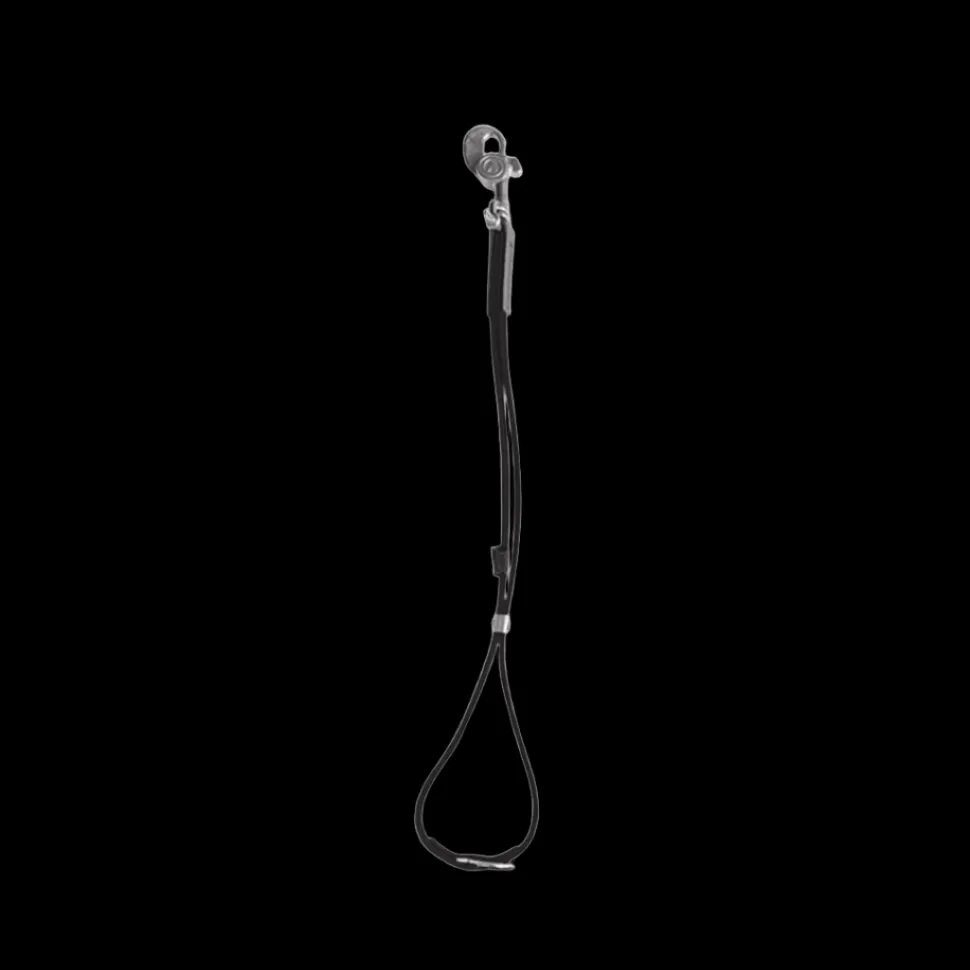 AXL Loop in Black by Alpha Grooming
