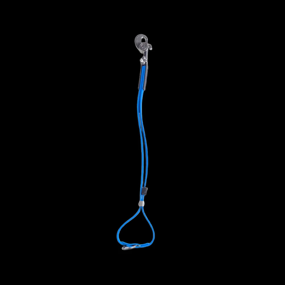 AXL Loop in Blue by Alpha Grooming