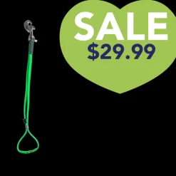 AXL Loop in Lime by Alpha Grooming
