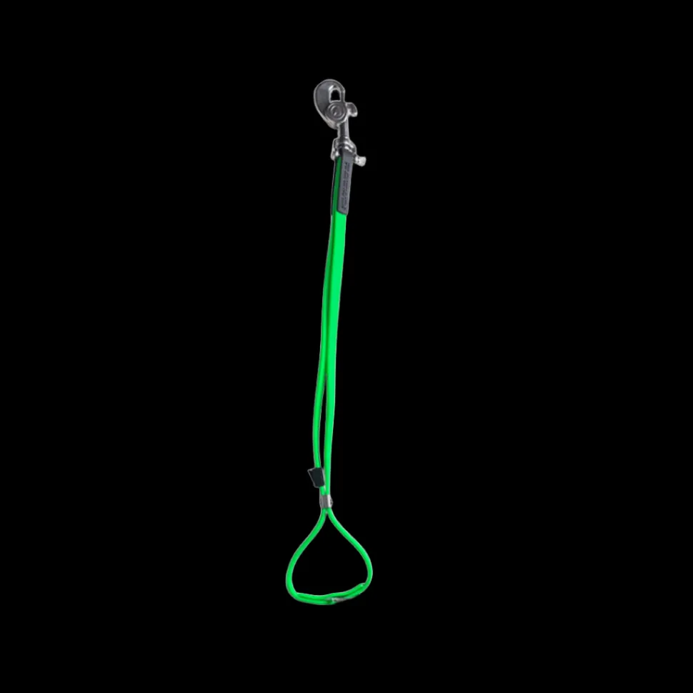 AXL Loop in Lime by Alpha Grooming
