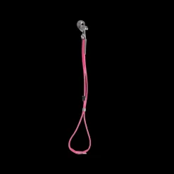 AXL Loop in Pink by Alpha Grooming
