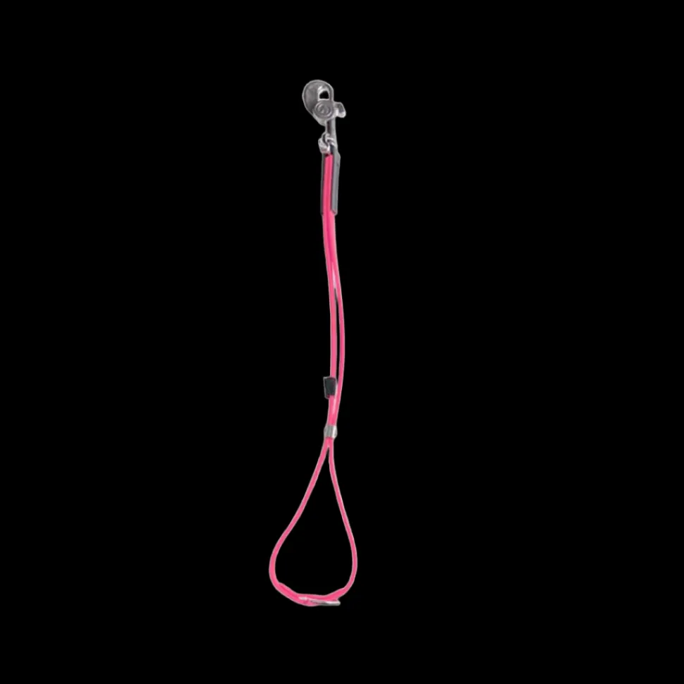 AXL Loop in Pink by Alpha Grooming