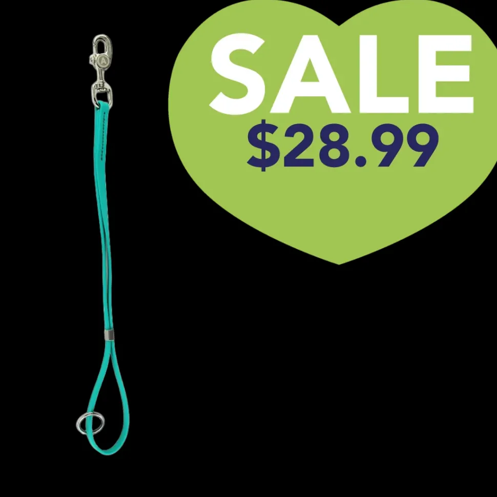 AXL Loop in Teal by Alpha Grooming