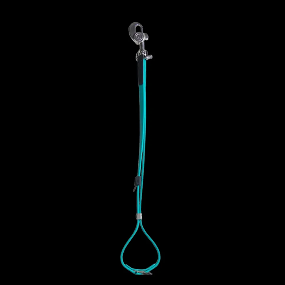AXL Loop in Teal by Alpha Grooming