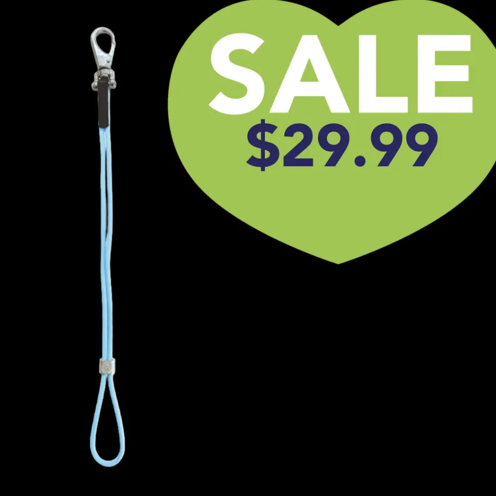 AXL Show Loop Teal by Alpha Grooming
