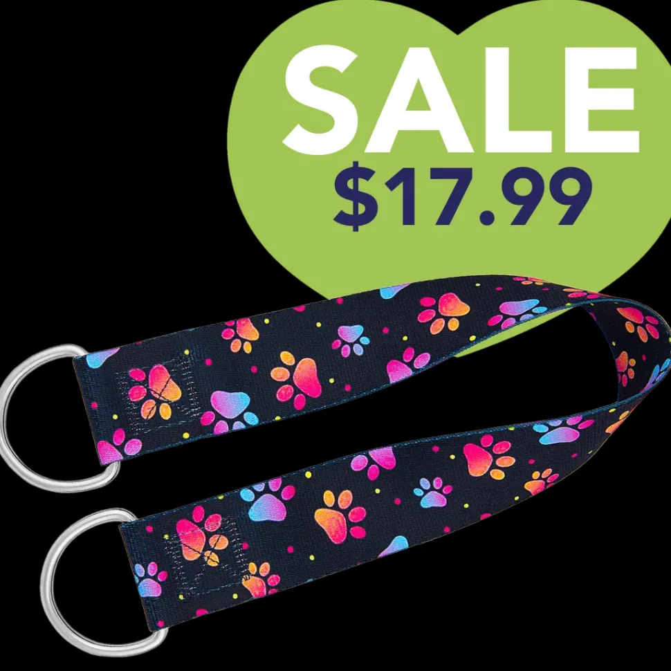 25" Belly Band Pretty Paws by Groom Loop