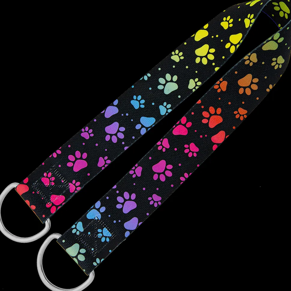 32″ Belly Band Rainbow Pretty Paws by Groom Loop