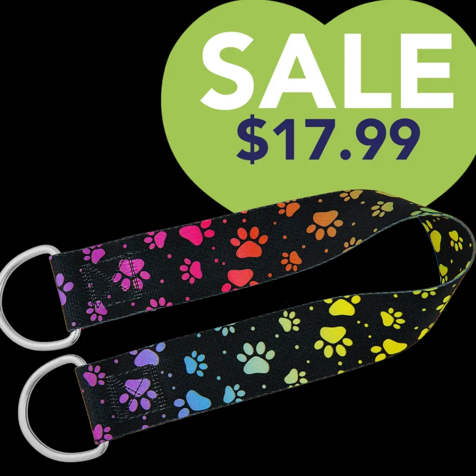 25″ Belly Band Rainbow Pretty Paws by Groom Loop