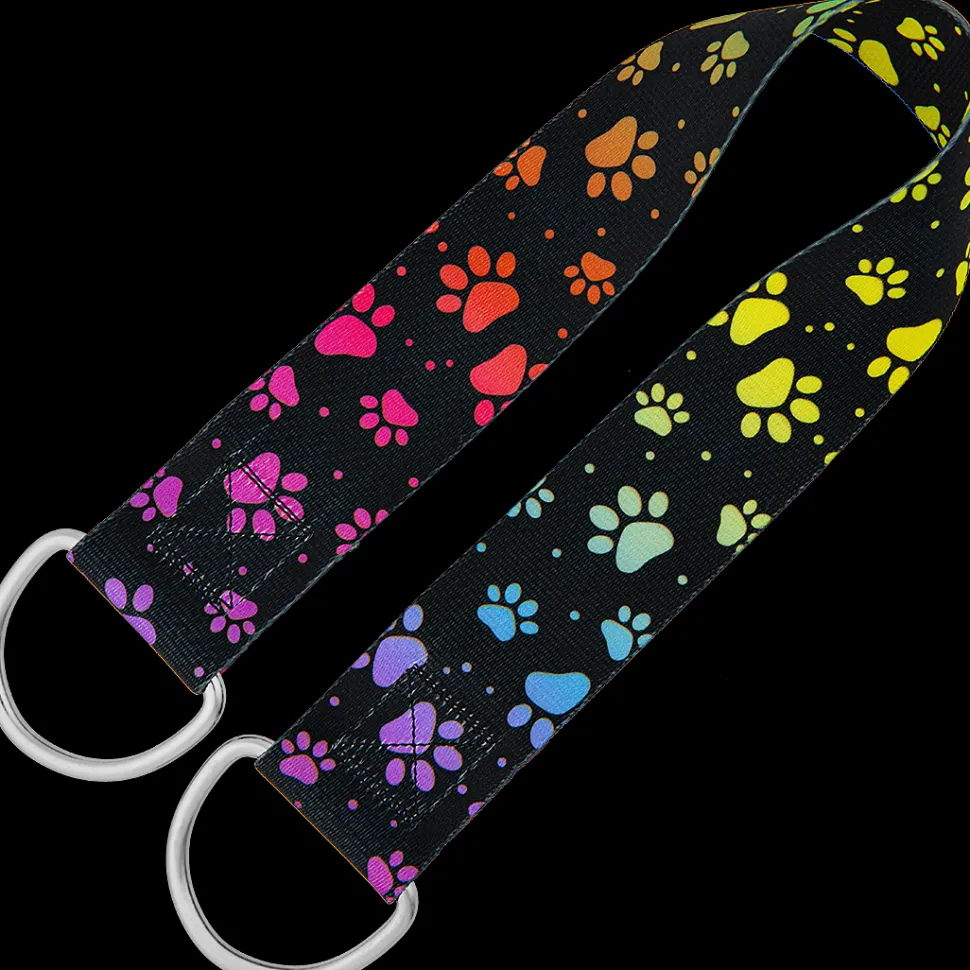 25″ Belly Band Rainbow Pretty Paws by Groom Loop