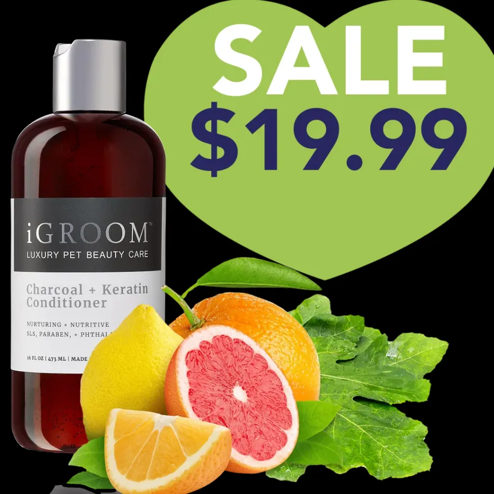 Charcoal and Keratin Shampoo 16oz by iGroom