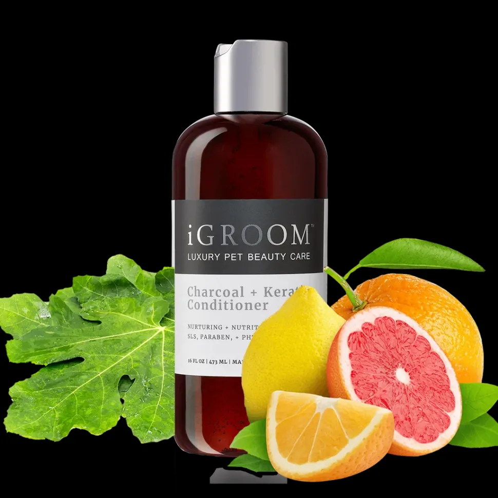 Charcoal and Keratin Shampoo 16oz by iGroom