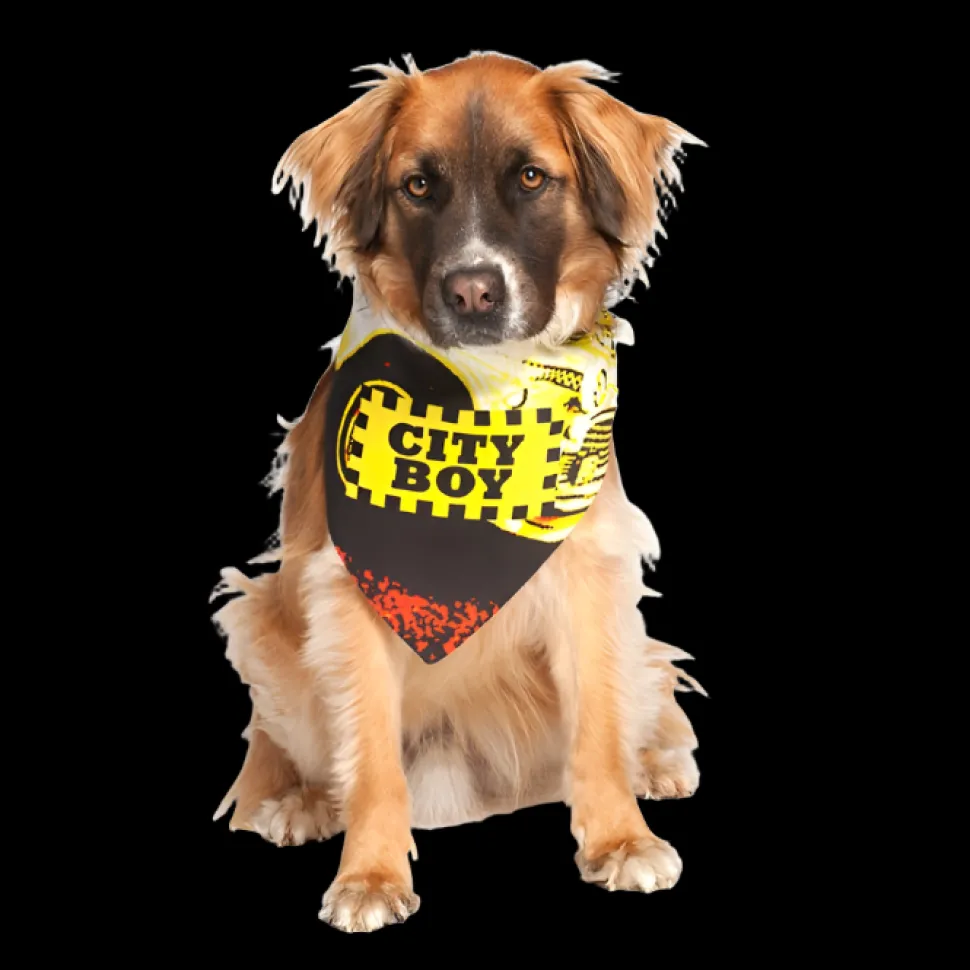 City Boy Dog Bandana by Dog Fashion Living