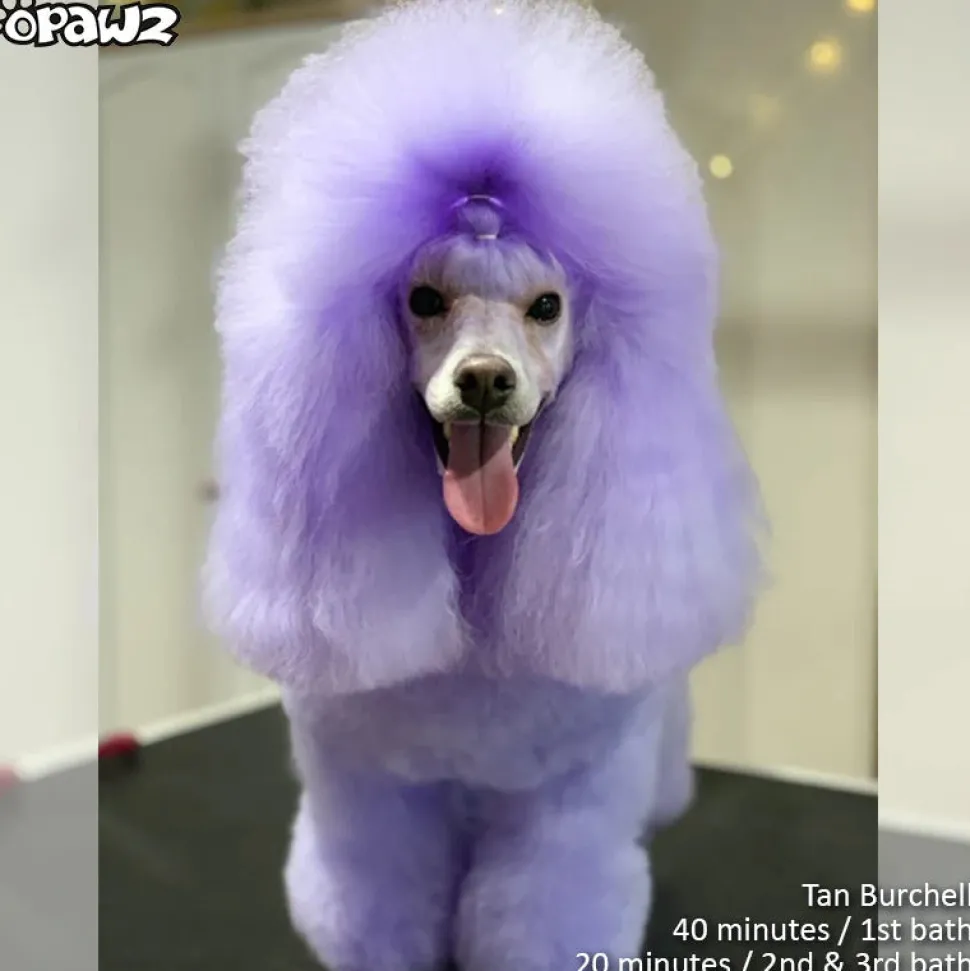 Color Depositing Shampoo Purple 17oz by Opawz