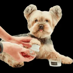 Face and Paw Brush by Dog Fashion Spa