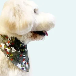 Fall & Thanksgiving Bandanas - 60 Assorted Sizes and Patterns by Bandanas Unlimited