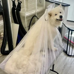 Flying Fur Catcher by Big Hair Net