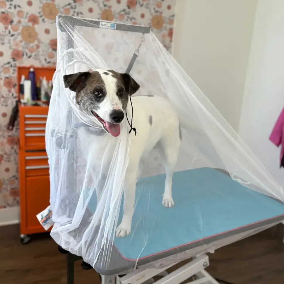 Flying Fur Catcher by Big Hair Net
