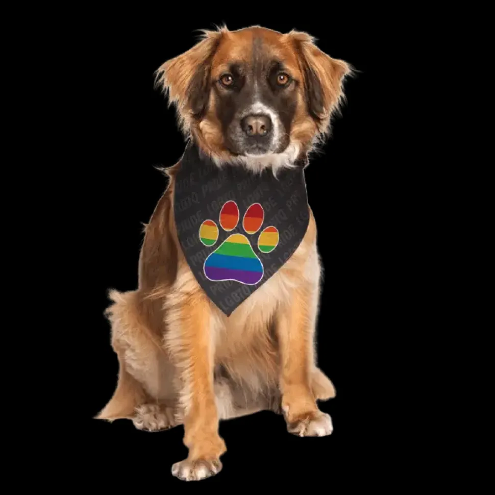 Gay Flag Paw Bandana by Dog Fashion Living