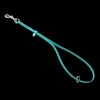 Grooming Loop 3/8"x18" With Ring Teal by Jelly Pet