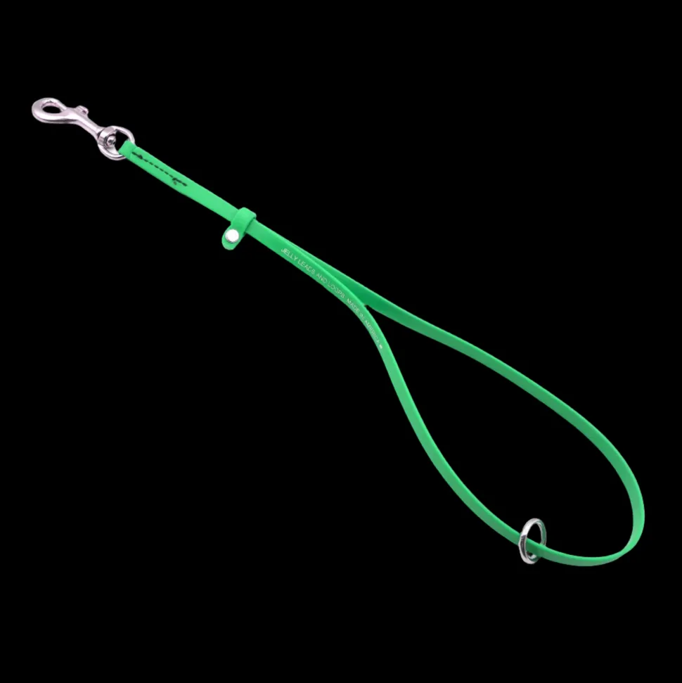 Grooming Loop 3/8"x24" With Ring Lime Green by Jelly Pet