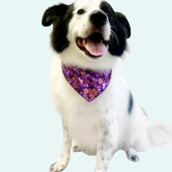 Halloween Bandanas - 60 Assorted Sizes and Patterns by Bandanas Unlimited
