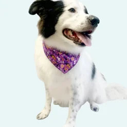 Halloween Bandanas - 60 Assorted Sizes and Patterns by Bandanas Unlimited