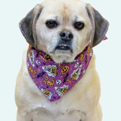 Halloween Bandanas - 60 Assorted Sizes and Patterns by Bandanas Unlimited