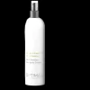 Hand Sanitizer Spray 8oz by Optimal Chemistree