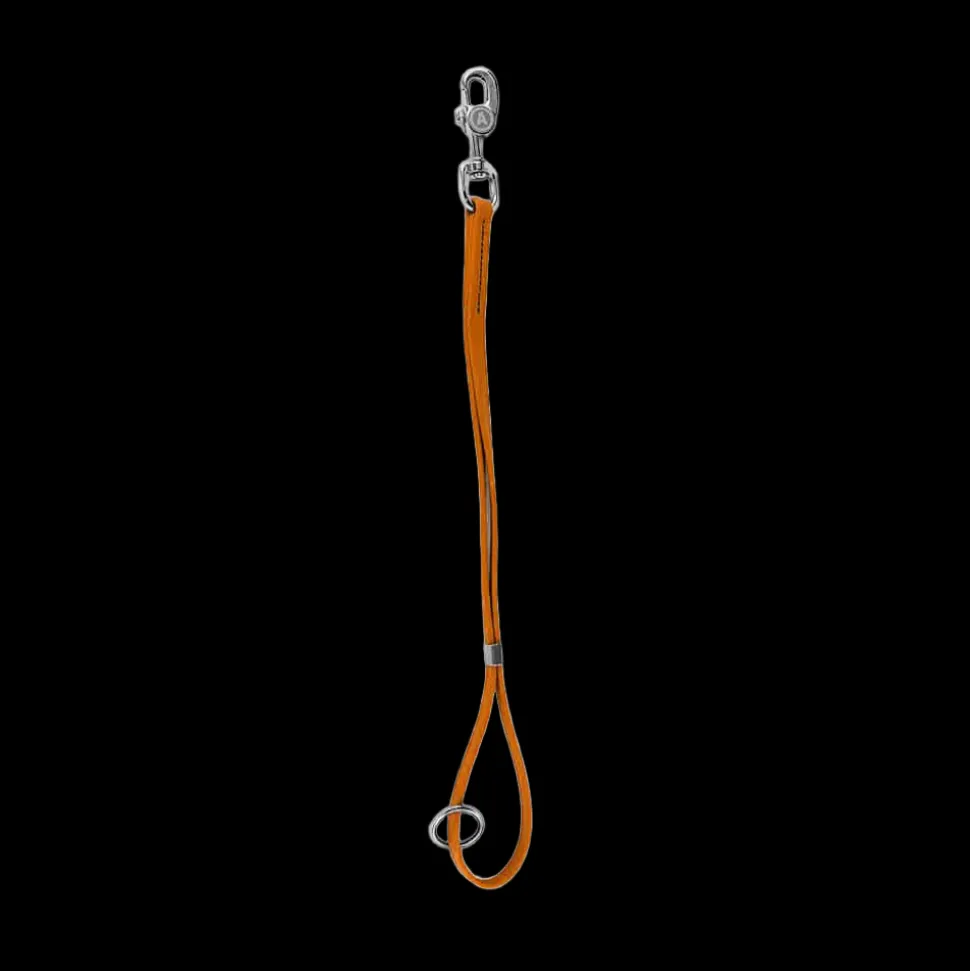 20 Inch Loop 2.0 - Orange by Alpha Grooming