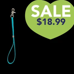 15 Inch Shorty Loop Teal by Alpha Grooming