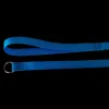 Kennel Control Lead Blue Case of 12 by Groomer's Helper
