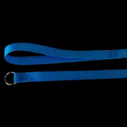 Kennel Control Lead Blue Case of 12 by Groomer's Helper