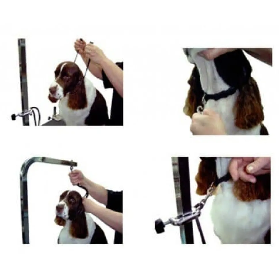 5/8" Large Grooming Loop Green by Groomer's Helper