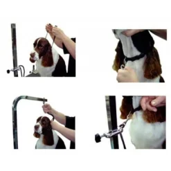5/8" Large Grooming Loop Orange by Groomer's Helper