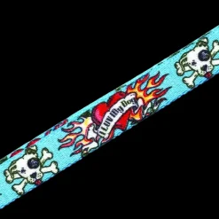 20" Luv My Dawg Blue Grooming Loop by Loop Dawgy Dawg