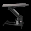 MasterLift Hydraulic Grooming Table with Rotating Top by PetLift