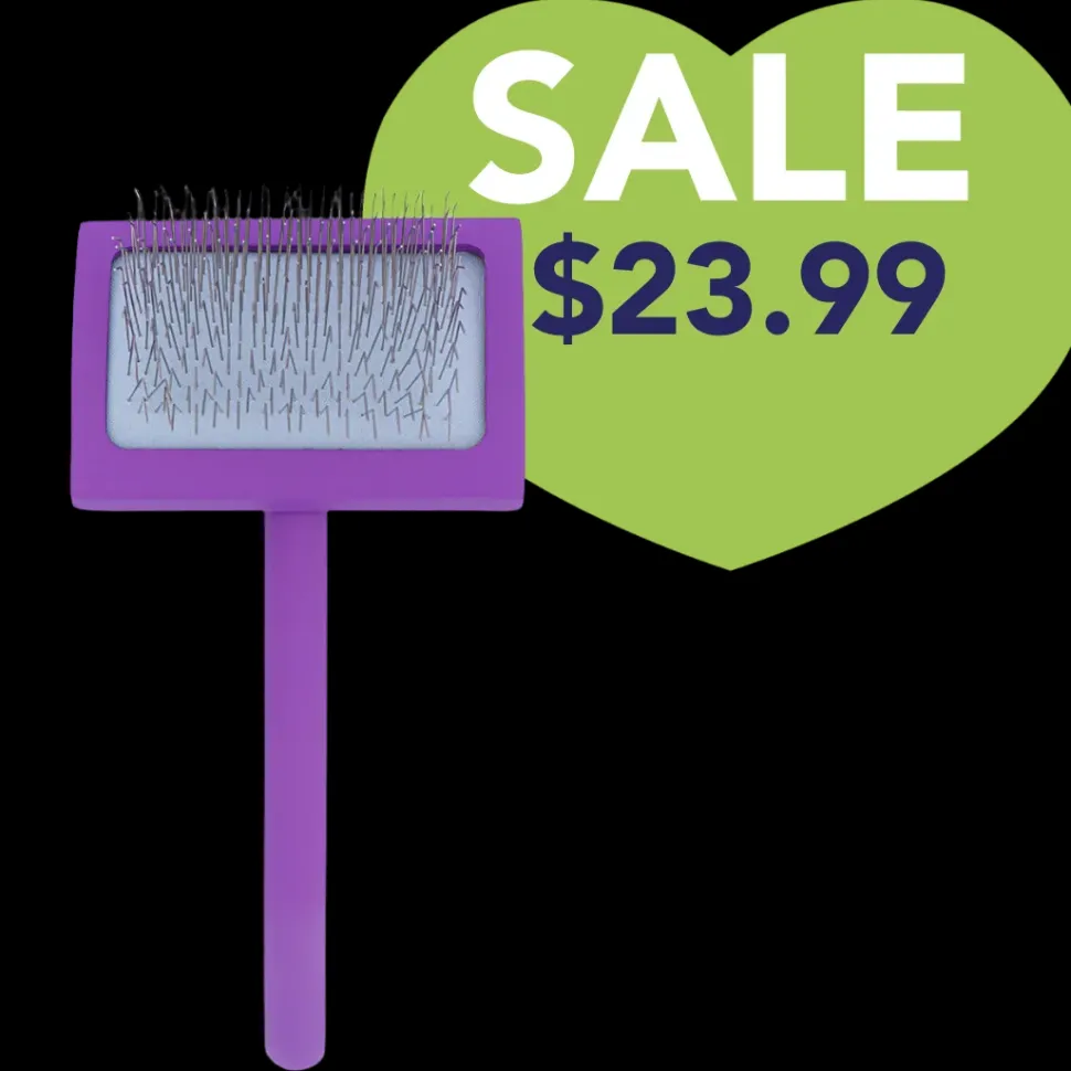 Medium Curved Purple Dematting Brush by PetStore.Direct