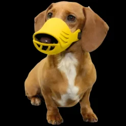 Medium Silicone Muzzle for Dogs by Artero