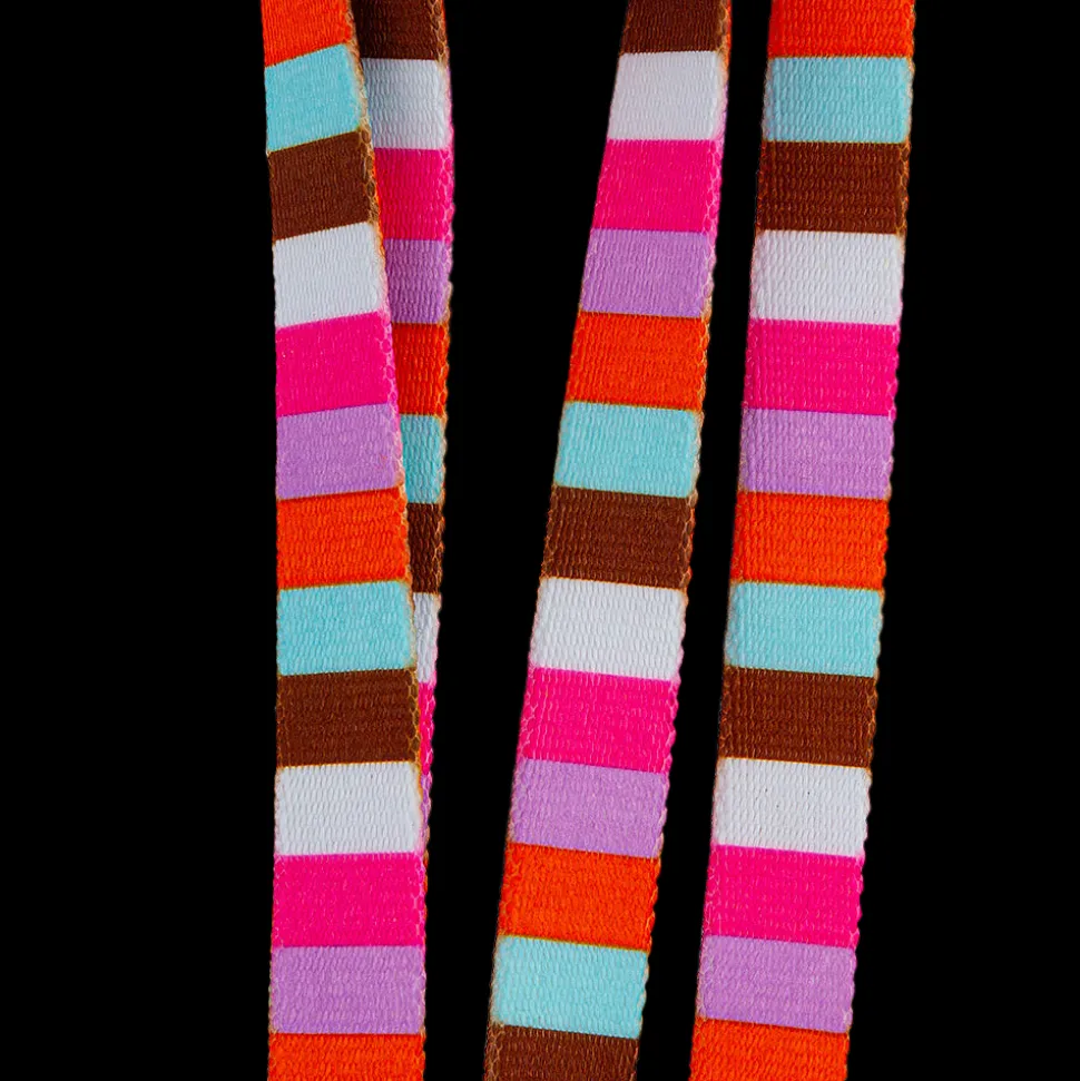 15" Multi Stripe Grooming Loop by Loop Dawgy Dawg