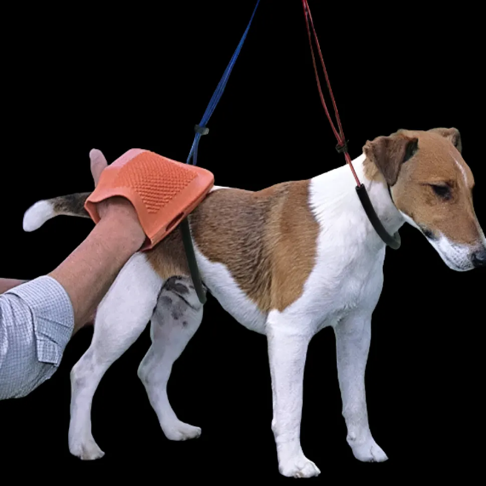 No-Sit Haunch Holder Giant by Proguard
