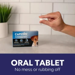 Pack of 6 Tablet For Flea Infestations Under 25Lb Dogs by Capstar