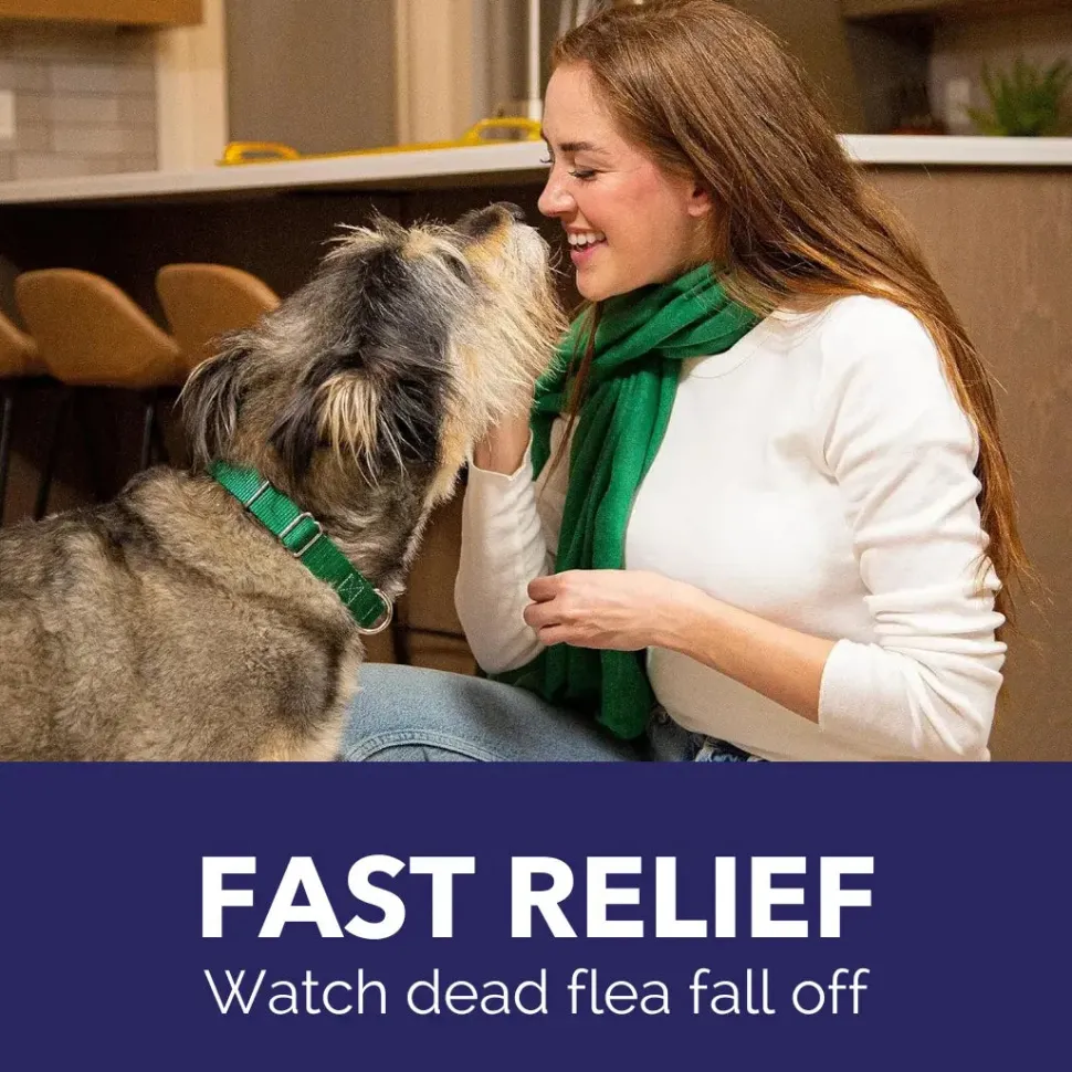 Pack of 6 Tablet For Flea Infestations Under 25Lb Dogs by Capstar