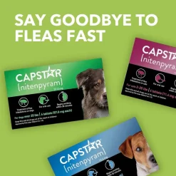 Pack of 6 Tablet For Flea Infestations Over 25Lb Dogs by Capstar