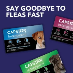 Pack of 6 Tablet For Flea Infestations Under 25Lb Dogs by Capstar