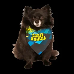 Party Animal Birthday Dog Bandana by Dog Fashion Living