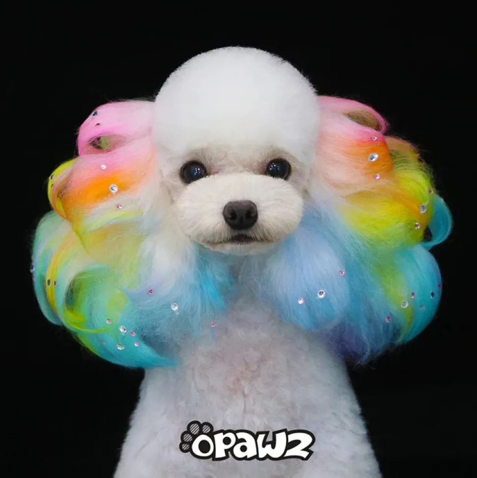 Permanent Dog Hair Color Dilution Cream 8oz by Opawz