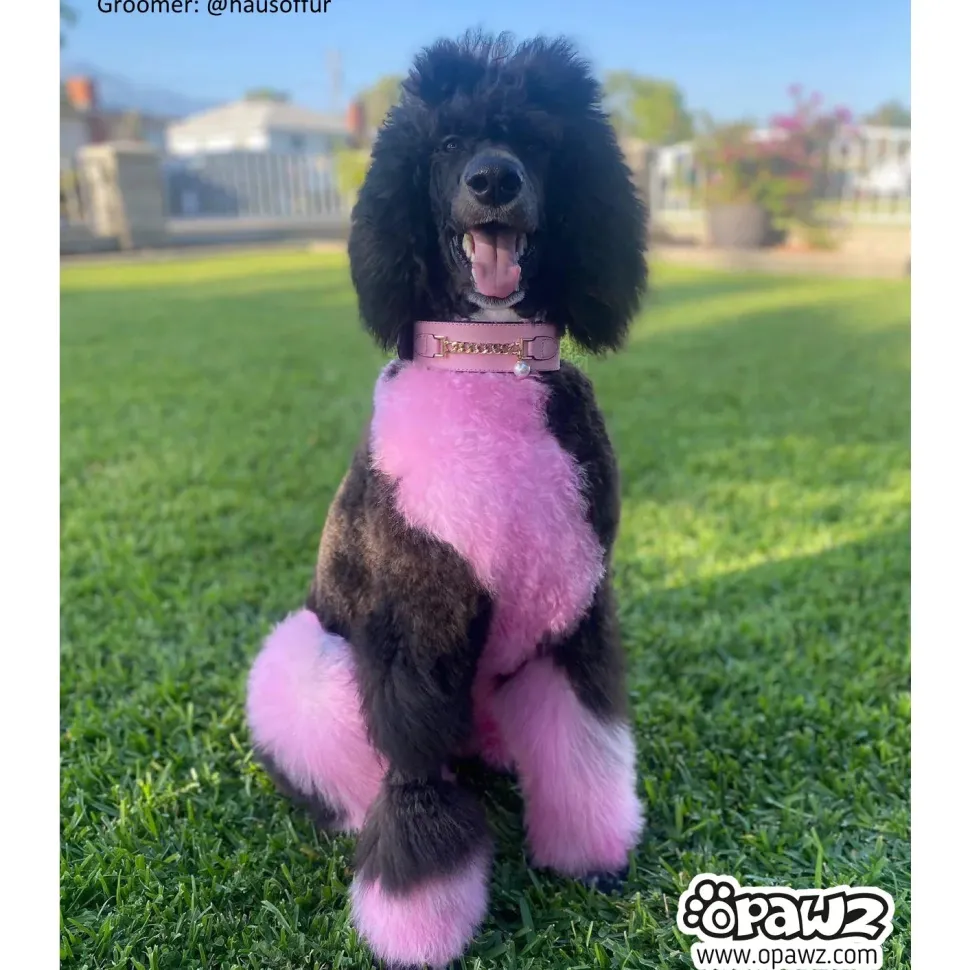 Permanent Dog Hair Dye Charm Pink 8oz by Opawz
