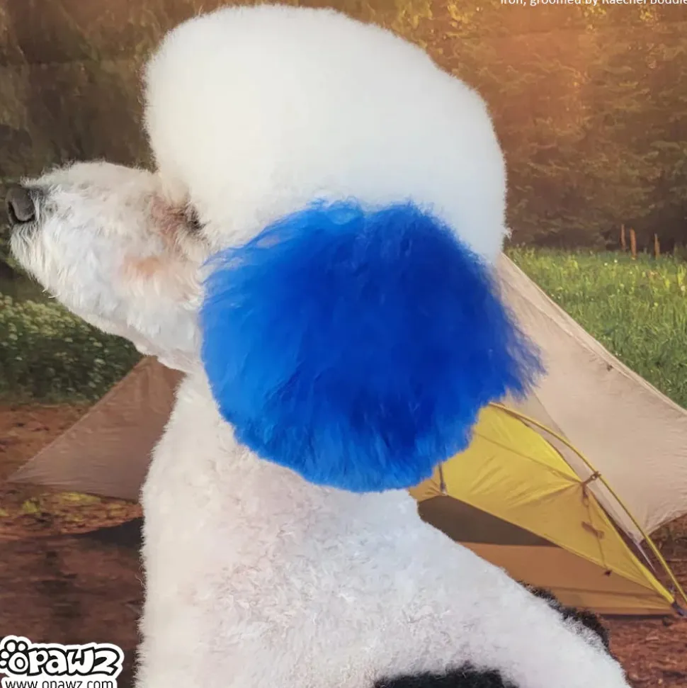 Permanent Dog Hair Dye Cobalt Blue 8oz by Opawz